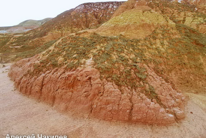 Сегодня стартует ЕНТ